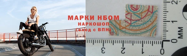 эйфоретик Горняк