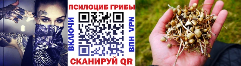 Псилоцибиновые грибы Psilocybine cubensis  наркошоп  Балаково 